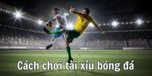 Cách chơi tài xỉu bóng đá - chia sẻ kinh nghiệm bất bại